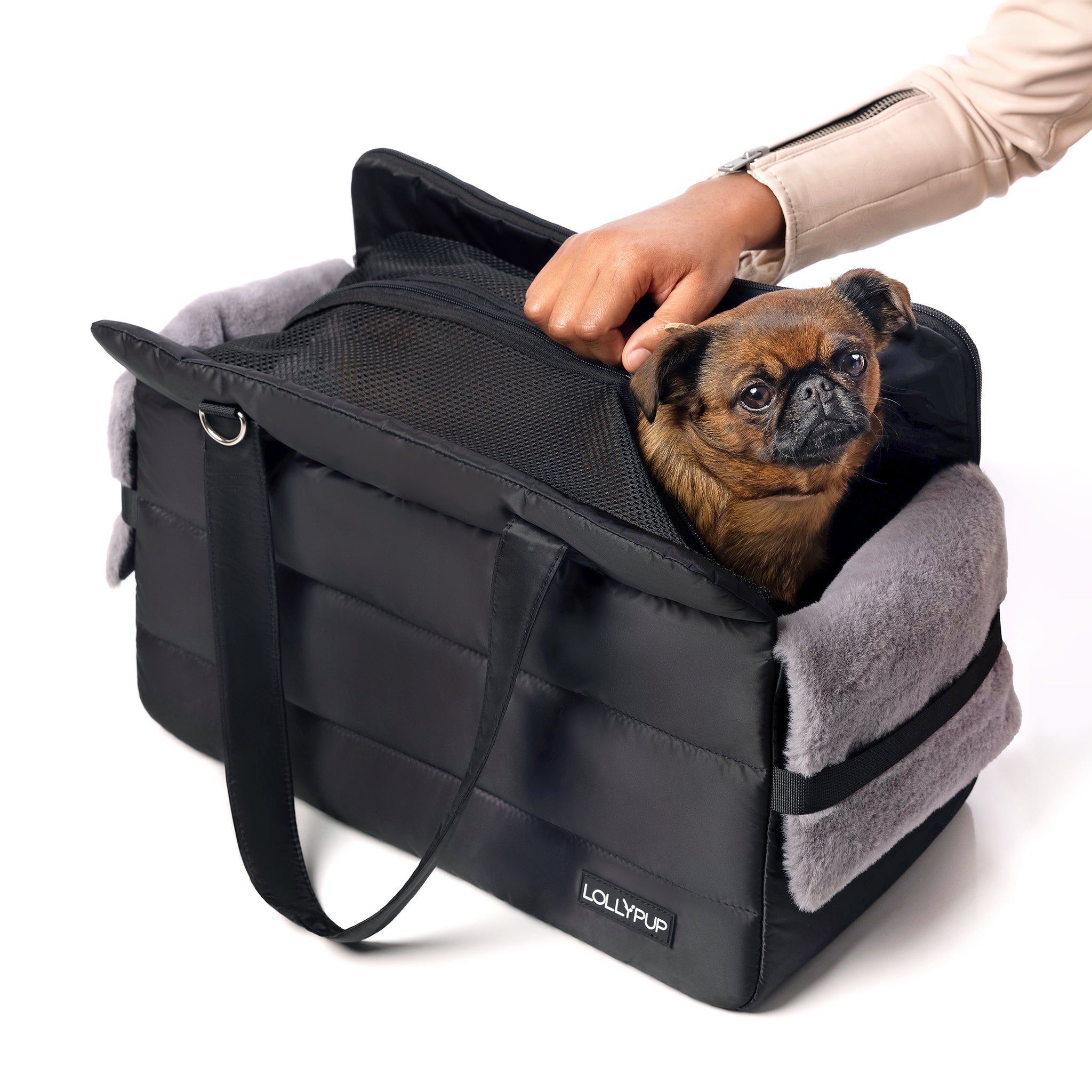 Dog Backpack Carrier | ʕ •ᴥ• ʔ | Backpack/Front Facing Dog Carrier